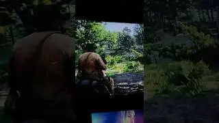 Rdr 2 Gameplay 