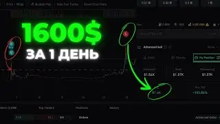 Как найти кошельки БОЛЬШИХ ТРЕЙДЕРОВ и заработать больше 16.000$ ЗА НЕДЕЛЮ - ПОДРОБНЫЙ ГАЙД