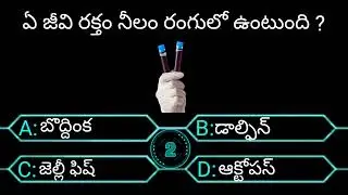 telugu questions / telugu quize program / unknown questions in telugu / telugu facts / 18+ questions