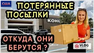 Откуда берутся потерянные посылки? Сажаем пальмы и манго. Возврат Amazon в Kohl’s. Покупки в Aldi.