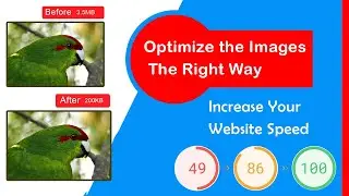 The Perfect Method to Optimize Images for Website