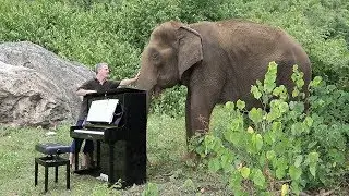Debussy 