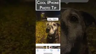 Cool iPhone Photo Tip