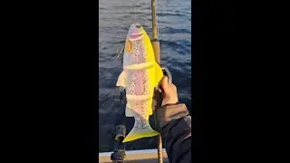 Savage Gear 4D Line Thru Trout 40 cm