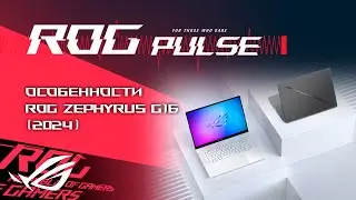 В Space Marine 2 не будет защиты, Детали о STALKER 2, Quidditch Champions / ROG PULSE [06.09.24]