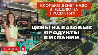 Цены на базовые продукты в Испании | Сколько нужно денег на продукты|