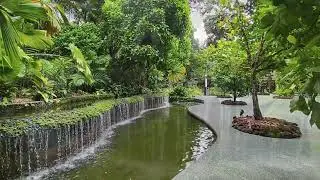 Beautiful waterfalls - Singapore Botanic Gardens