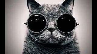 Приколы с животными 2019/ Ржачные коты 2019 /Смешные собаки 2019