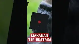 MAKANAN