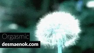 Orgasmic