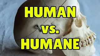 Difference between HUMAN & HUMANE