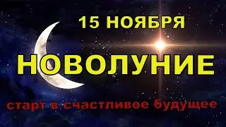 Как повлияет Новолуние 15 ноября на Овна, Рака и Козерога. Новолуние в ноябре