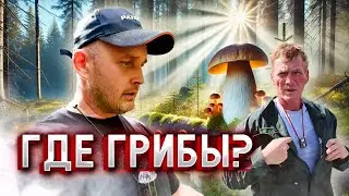 В Поисках Съедобных Грибов: Экспедиция с Серёжей Головорезом 🍄🌲