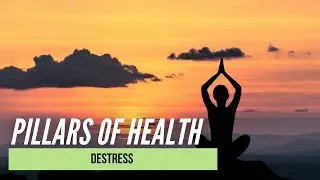 Pillars of Health | Destress | Dr. Ryan Goodkin