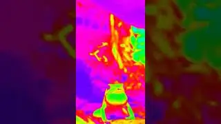 Psy frog