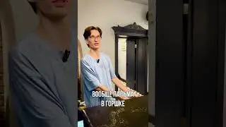 КАК ОТМЕТИШЬ - ТАК И ПРОВЕДЕШЬ. КТО это устроил в ОТЕЛЕ?!. #юмор #домзалкинда #тикток #смешныевидео