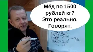 Органическое пчеловодство с сертификатом как способ продажи мёда по 1500. Съезд Пчеловодов