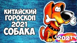 Собака🐶 Китайский Гороскоп на 2021 год Быка