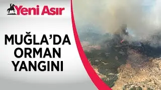 Muğla'da orman yangını