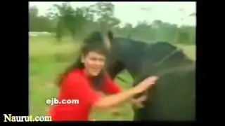 Самые смешные лошади Видео 2014
