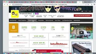 Доход канала Интересный Фикус.Svetlana Müller