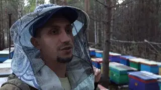 Откачка мёда на семейной пасеке Рябухиных.