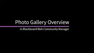 Photo Gallery Overview in Web Community Manager