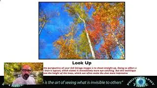 Foliage Photography