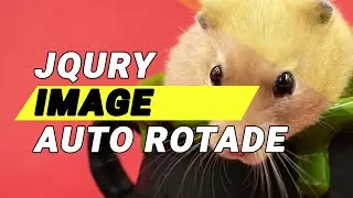 How to image auto rotede animation Jquery javascript