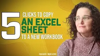 How to copy an Excel sheet to a new workbook