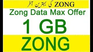 Zong Internet Package| Zong Daily Data Max Offer 1 GB Code| 2020
