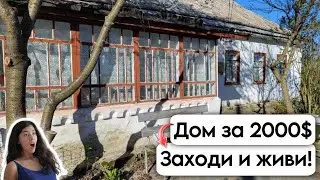 🇺🇦 Заходи и живи! Дом в селе за 2000$ Продажа недвижимости за копейки Всё есть! Уютное, тихое село
