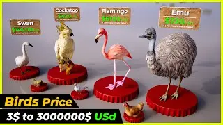 Birds Price comparison $ 1 to $ 99000000