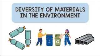 Diversity of Materials in the Environment | Animation