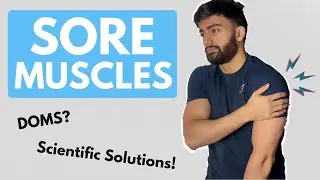 Sore Muscle After Exercise? Watch This!