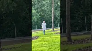 Лес-прекрасен,но без ваших подписок-грустно. Станьте частью моего телеграмм-канала!Читайте описание)