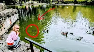 Ястася играет в городском парке с птицами