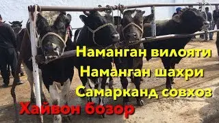 Наманган вилояти Наманган шахри Самарканд совхоз