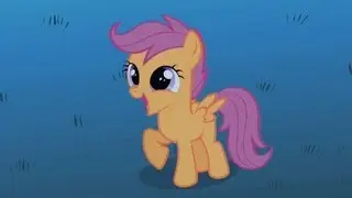 Scootaloo - I'll do whatever you want.