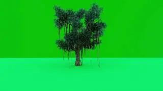 chroma key trees // green screen trees