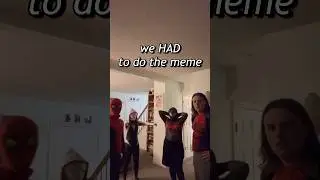 Spider-Verse IN REAL LIFE! 