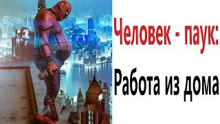 Приколы! ЧЕЛОВЕК – ПАУК: РАБОТА ИЗ ДОМА! Смешные видео – Доми шоу