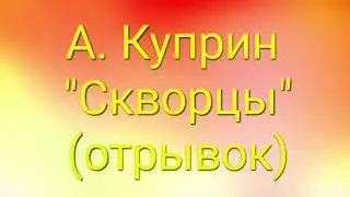 А. Куприн 
