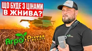 ЩО БУДЕ З ЦІНАМИ В ЖНИВА?ЯКІ ЦІНИ ЗАРАЗ?