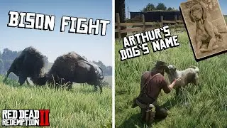 8 Amazing Details You Didn't Know About #28 (Red Dead Redemption 2)