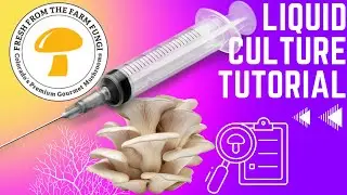 liquid culture tutorial FAQ