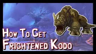 Frightened Kodo Guide