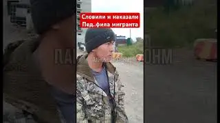 Словили и наказали пед..фила