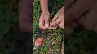 Fishing Hack Part 24
