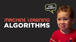 The Most Popular Algorithms For Beginners